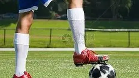 “12月成都国际乒联混合团体世界杯启幕，王楚钦、孙颖莎代表中国亮相，央视新闻客户端实时报道”